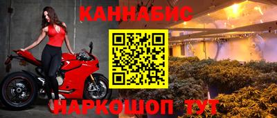 стаф Абакан