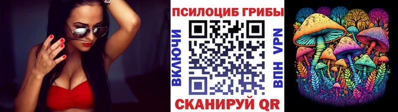 Псилоцибиновые грибы Psilocybe  купить   Альметьевск 